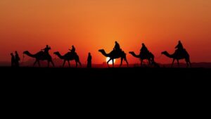 rajasthan tour camel safari