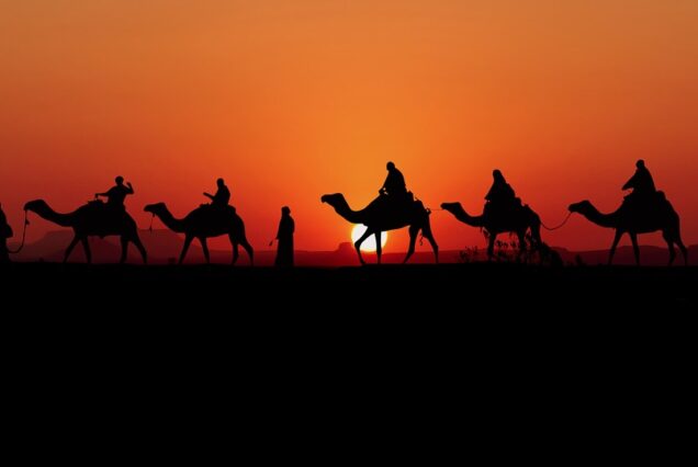rajasthan tour camel safari