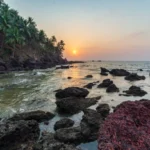 Examining the Magnificence of Domestic Tours: A Handbook for Domestic Travel