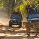 Adventure and Wildlife Exploration with a Travel Agency in Pune