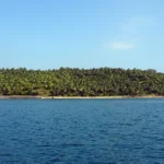 Overview of the Best Andaman and Nicobar Island Tour from Pune: Escape to Paradise