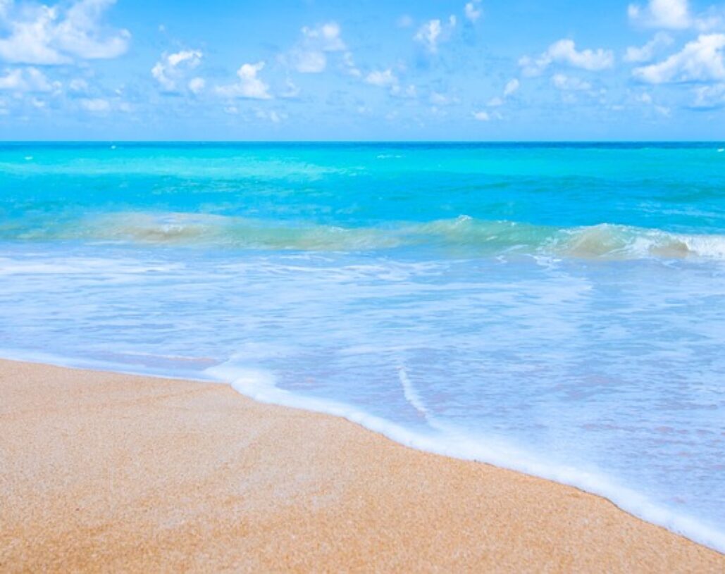 andaman tour package