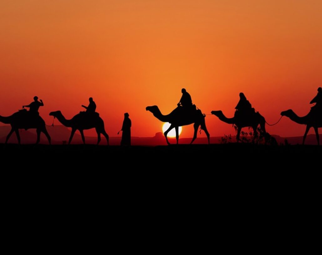 rajasthan tour camel safari
